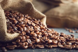 KIWorld Coffee (4)